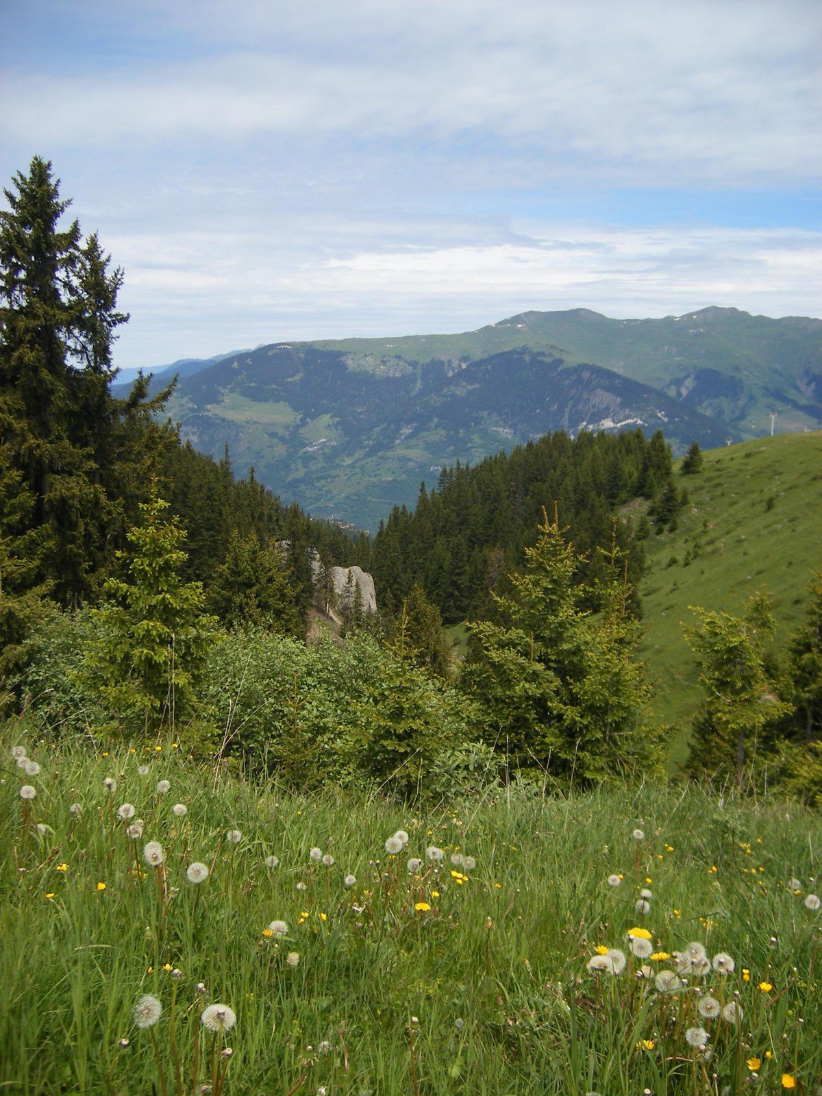 DSCF040555555.JPG