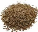 nigelle2