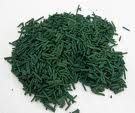spiruline3