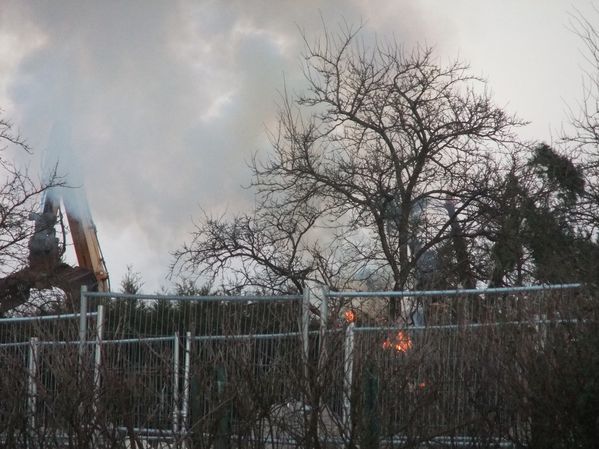 DSCF4262