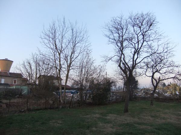 DSCF4264