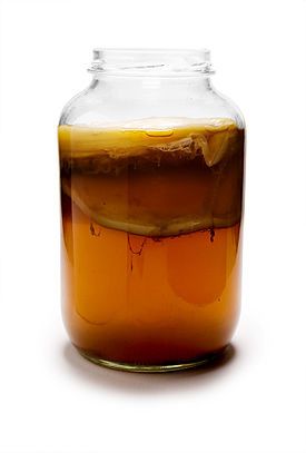 Kombucha Mature