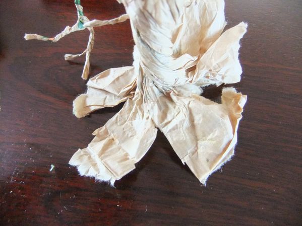 Arbres papier (8)
