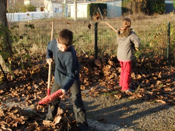 Ramassage de feuilles (1)