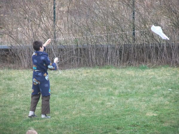 Cerf-volants (2)