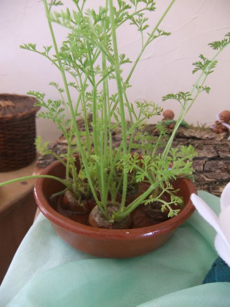Table de printemps (5)