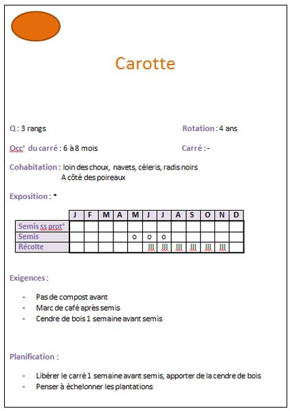carotte
