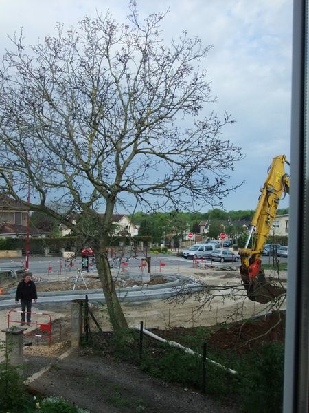 Massacre à la pelleteuse (3)
