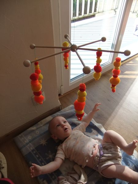 Pompon Mobile