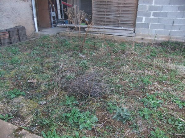 Etat des lieux du potager (3)