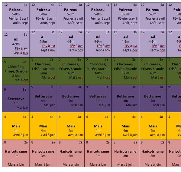 carrés de légumes à imprimer