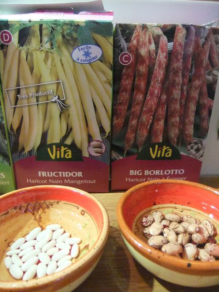 haricots et pois (1)