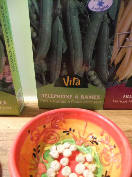 haricots et pois (3)
