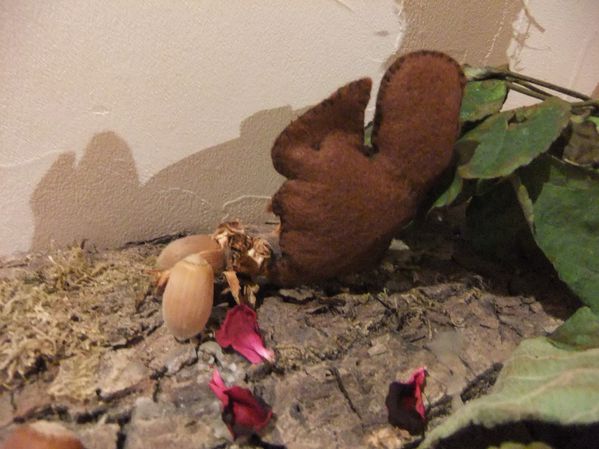 Septembre (2)