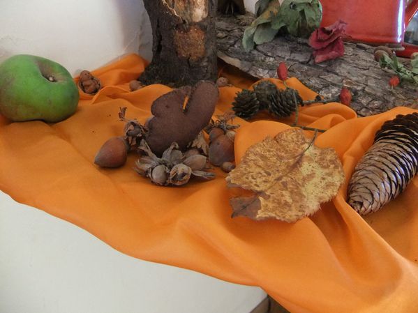 Table saison octobre (4)