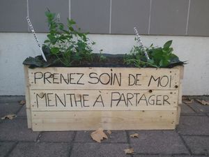 La guérilla des jardins