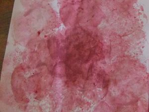 On voit quand même les traces de pommes, et puis de toutes façons, ils sont petits, ces lutins !