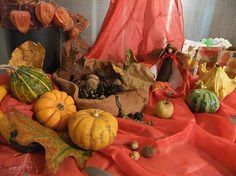 L'année des 4 ans - Programme pour l'année