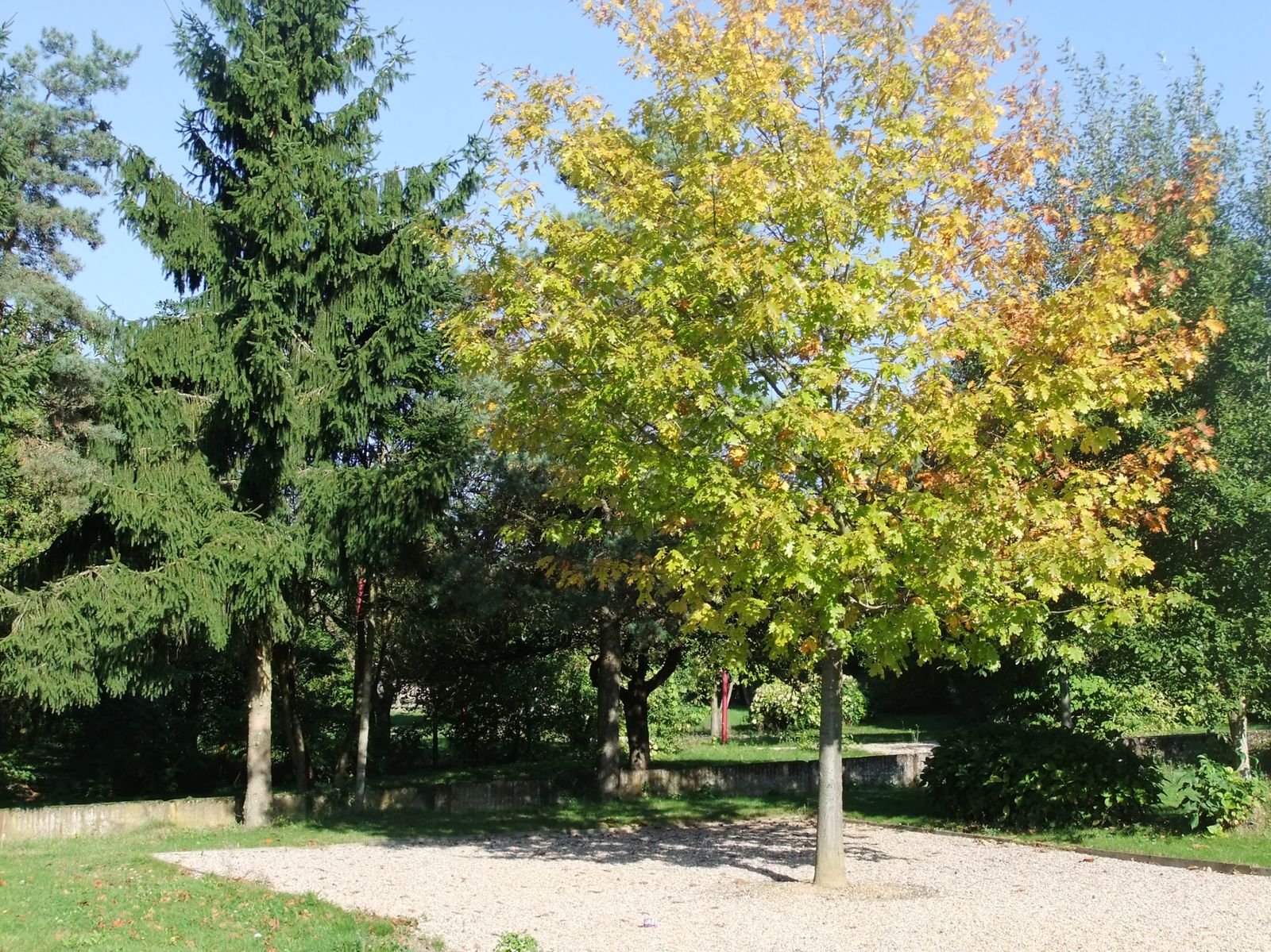 Journée d'automne