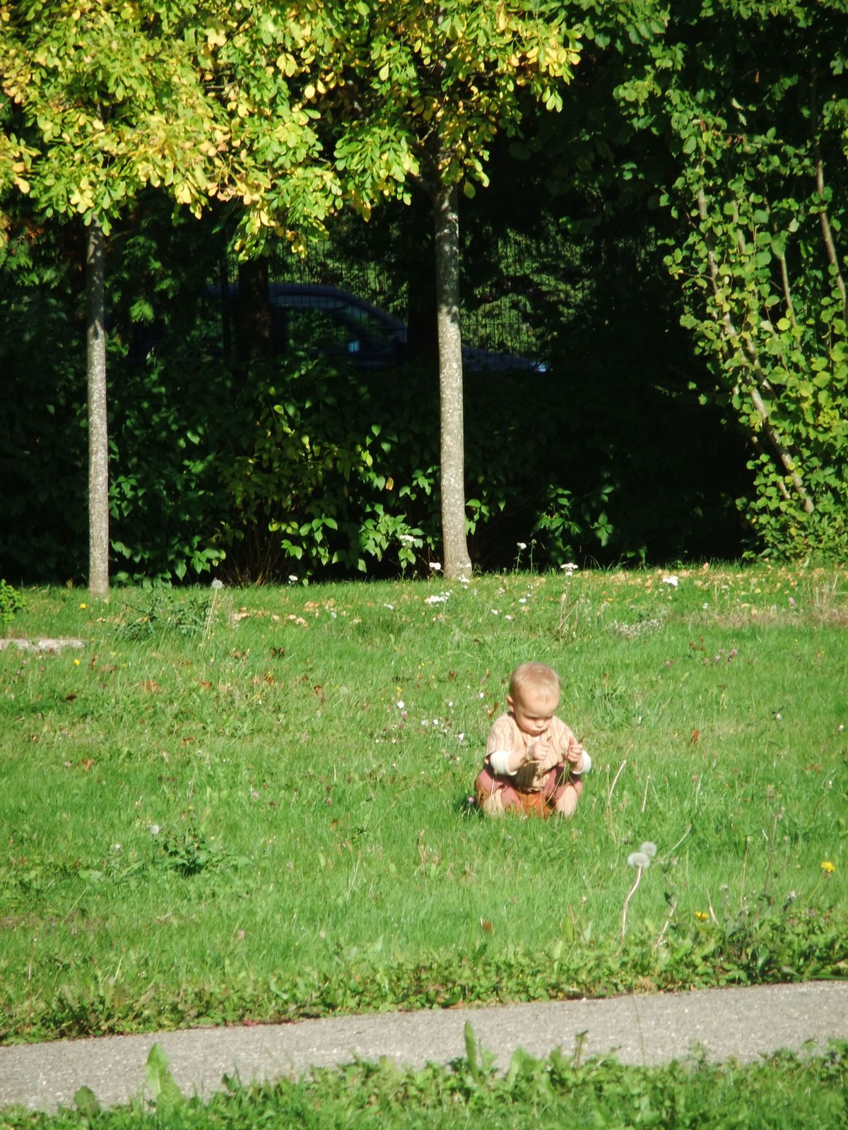 Journée d'automne