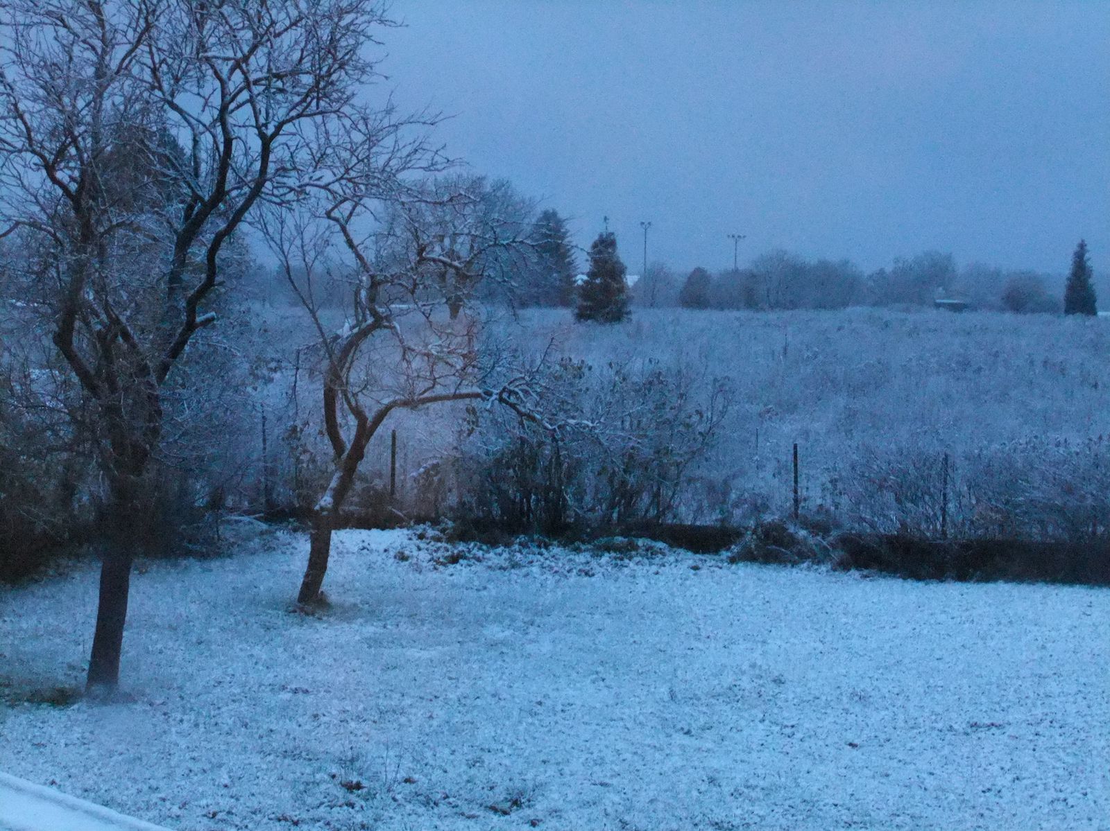 Photos prises à travers la fenêtre, ça ne rend forcément pas très bien... 