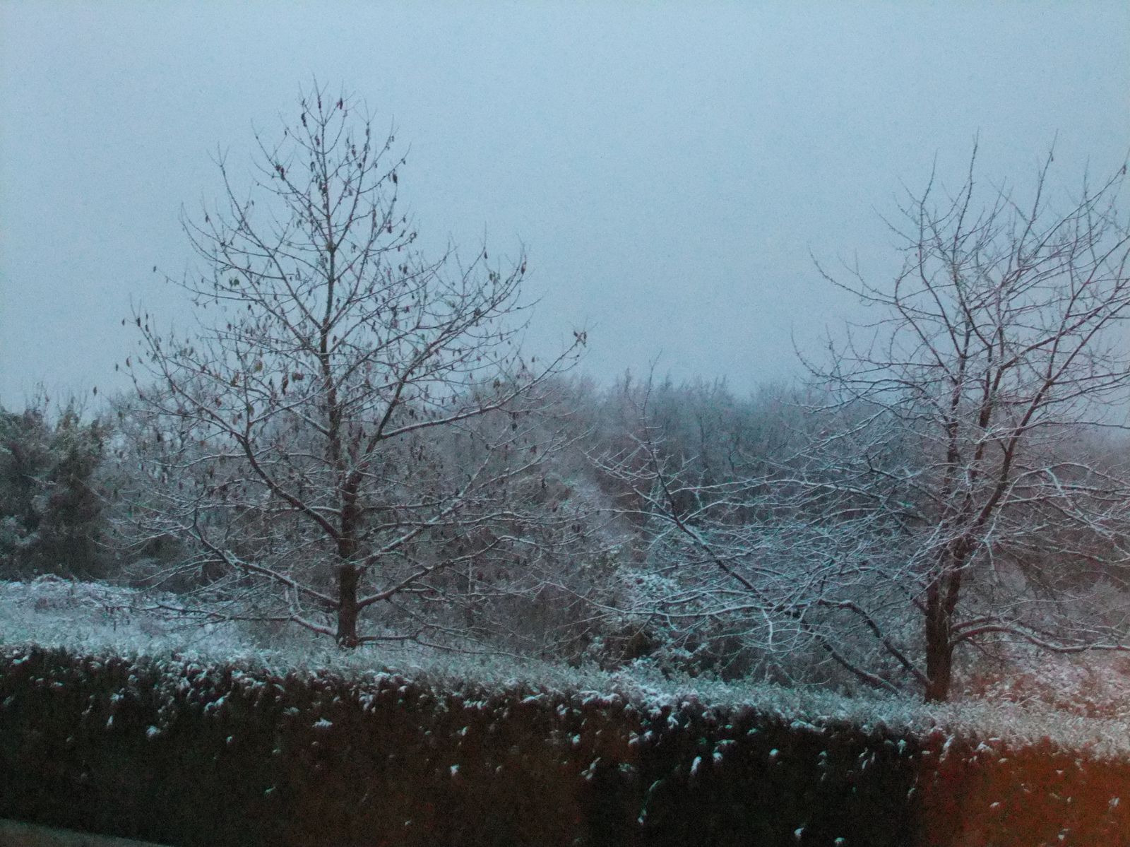Première neige !