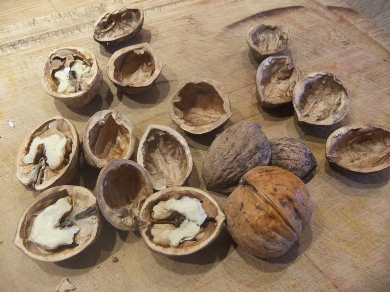Couper les noix en deux sans casser la coquille (presser doucement avec un casse-noix, puis séparer les deux parties au couteau)