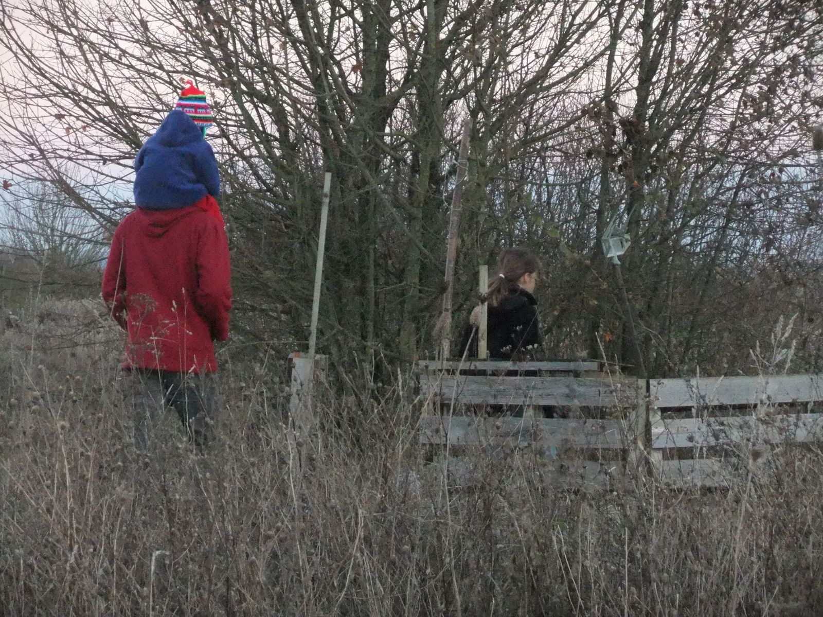On en profite pour aller inspecter la cabane des enfants, qu'ils ont un peu laissée à l'abandon avec la pluie et le froid des dernières semaines...