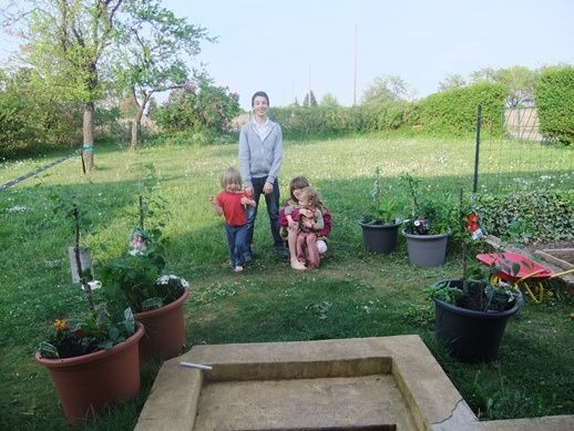 Une forêt comestible en pots !