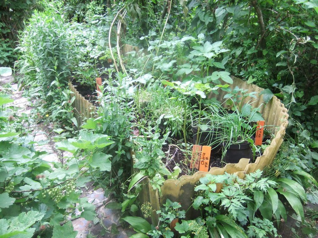 Le jardin-forêt de Mouscron