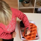 Pétition : Oui à la liberté de l'éducation !