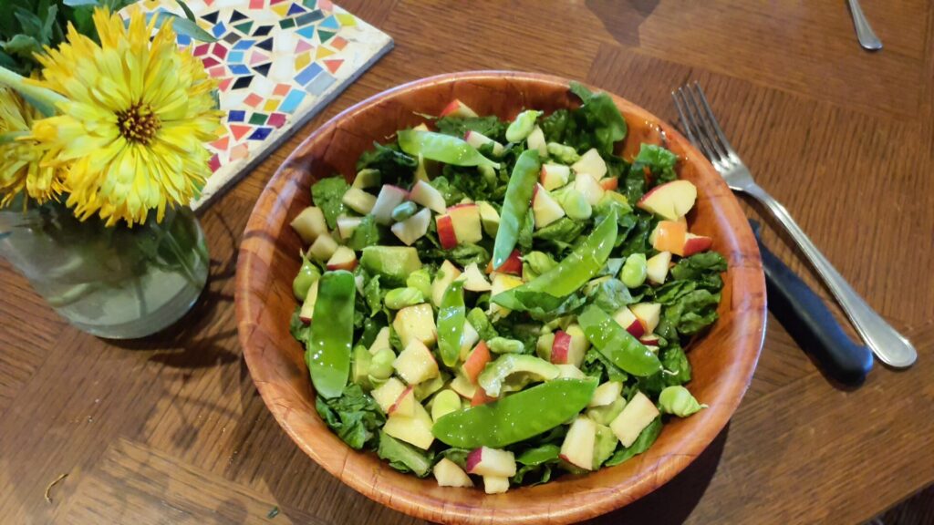 Salade Printanière Toute Crue
